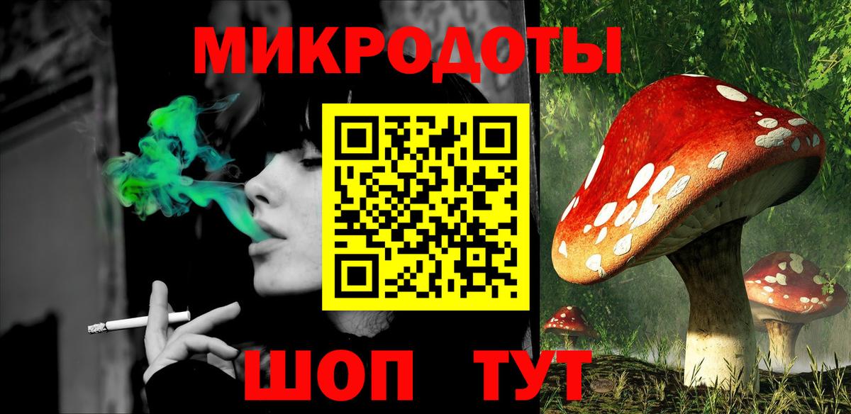 Псилоцибиновые грибы Psilocybe  Псилоцибиновые грибы мицелий  Камышин  Вход с VPN 