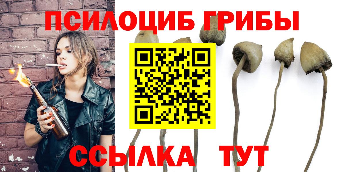 Псилоцибиновые грибы GOLDEN TEACHER Камышин